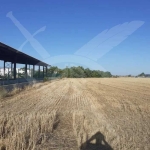 Земеделски имот в с. Строево, Област Пловдив -  кв.м за 16000 €/дка - Снимка #1