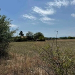 Парцел в с. Бяла река, Област Пловдив - 4200 кв.м за 4 €/кв.м - Снимка #1