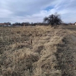 Парцел в с. Ягодово, Област Пловдив - 2900 кв.м за 38 €/кв.м - Снимка #1