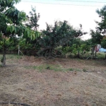 Парцел в Стамболийски - 1800 кв.м за 14 €/кв.м - Снимка #1