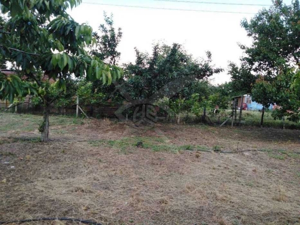 Парцел в Стамболийски - 1800 кв.м за 14 €/кв.м - Снимка #1