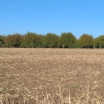 Земеделски имот в Шумен, Център -  кв.м за 3060 €/дка - Снимка #1