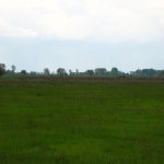 Парцел в с. Равно поле, Област София-област - 5700 кв.м за 36 €/кв.м - Снимка #1