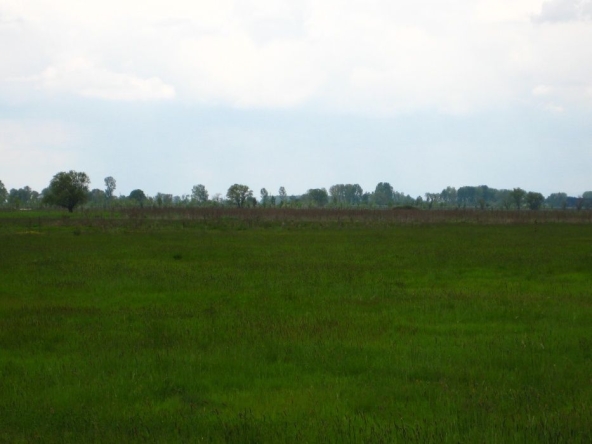 Парцел в с. Равно поле, Област София-област - 5700 кв.м за 36 €/кв.м - Снимка #1