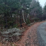 Земеделски имот в с. Баните, Област Смолян -  кв.м за 702 €/дка - Снимка #1