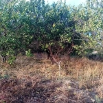 Парцел в Пловдив, Тракия - 1058 кв.м за 36 €/кв.м - Снимка #1