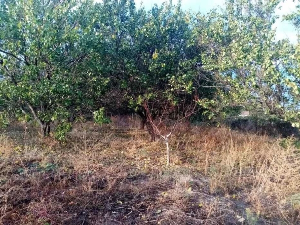 Парцел в Пловдив, Тракия - 1058 кв.м за 36 €/кв.м - Снимка #1