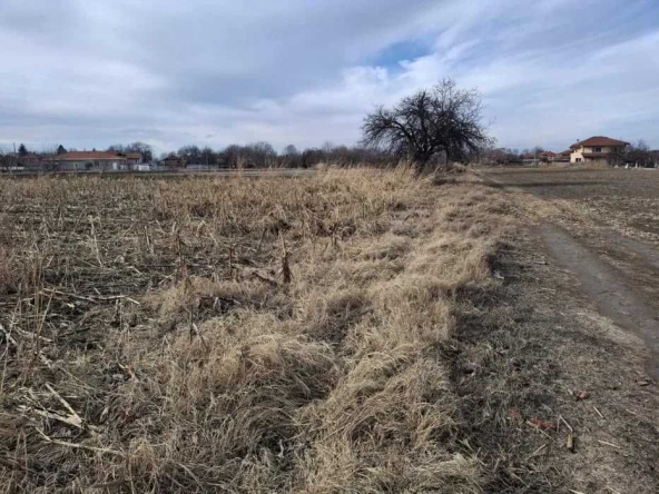 Парцел в с. Ягодово, Област Пловдив - 2900 кв.м за 73 €/кв.м - Снимка #1