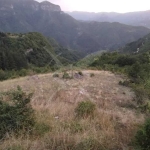 Парцел в с. Борово, Област Пловдив - 19000 кв.м за 3 €/кв.м - Снимка #1