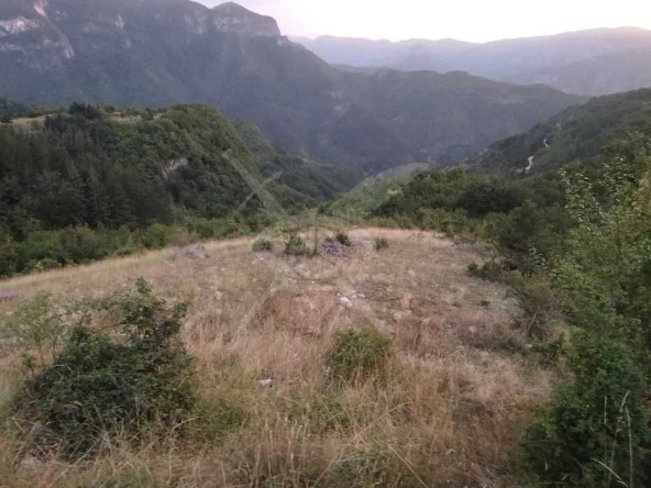 Парцел в с. Борово, Област Пловдив - 19000 кв.м за 3 €/кв.м - Снимка #1