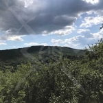 Парцел в с. Мраченик, Област Пловдив - 915 кв.м за 13 €/кв.м - Снимка #1