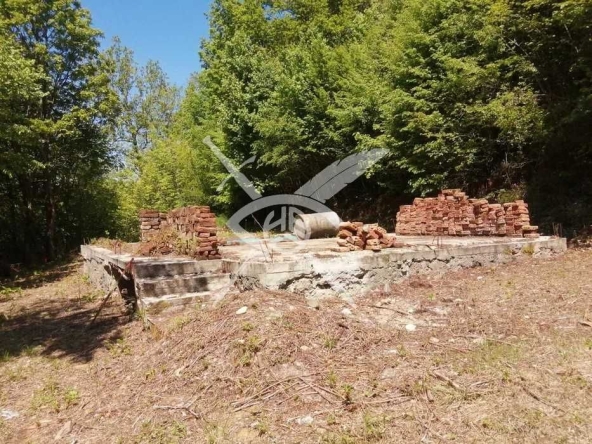 Земеделски имот в с. Граматиково, Област Бургас -  кв.м за 4600 €/дка - Снимка #1