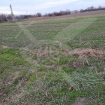 Парцел в с. Ягодово, Област Пловдив - 1498 кв.м за 26 €/кв.м - Снимка #1