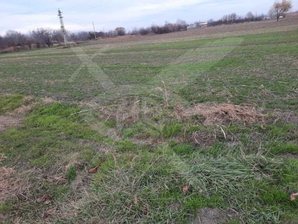 Парцел в с. Ягодово, Област Пловдив - 1498 кв.м за 26 €/кв.м - Снимка #1