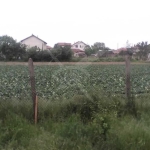 Парцел в с. Маноле, Област Пловдив - 885 кв.м за 63 €/кв.м - Снимка #1