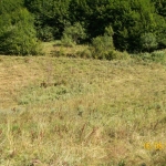 Земеделски имот в Троян -  кв.м за 7 €/дка - Снимка #1