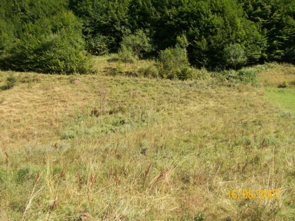 Земеделски имот в Троян -  кв.м за 7 €/дка - Снимка #1