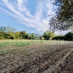 Парцел в с. Къпиново, Област Велико Търново - 1870 кв.м за 13 €/кв.м - Снимка #1