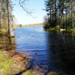 Земеделски имот в Тополовград -  кв.м за 744 €/дка - Снимка #1