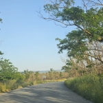 Промишлена сграда в с. Слънчево, Област Варна - 21000 кв.м за 35 €/кв.м - Снимка #1