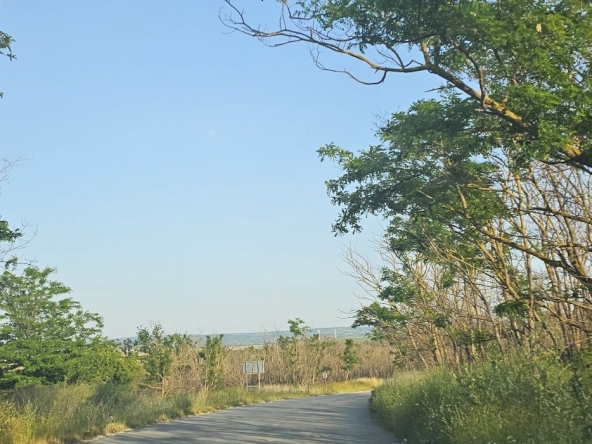 Промишлена сграда в с. Слънчево, Област Варна - 21000 кв.м за 35 €/кв.м - Снимка #1