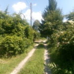 Земеделски имот в Габрово, Шенини -  кв.м за 17 €/дка - Снимка #1