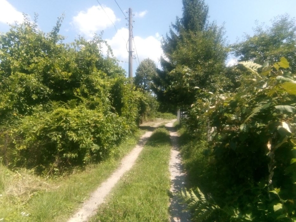 Земеделски имот в Габрово, Шенини -  кв.м за 17 €/дка - Снимка #1