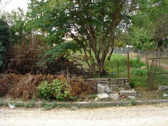 Парцел в с. Кранево, Област Добрич - 1331 кв.м за 91 €/кв.м - Снимка #1