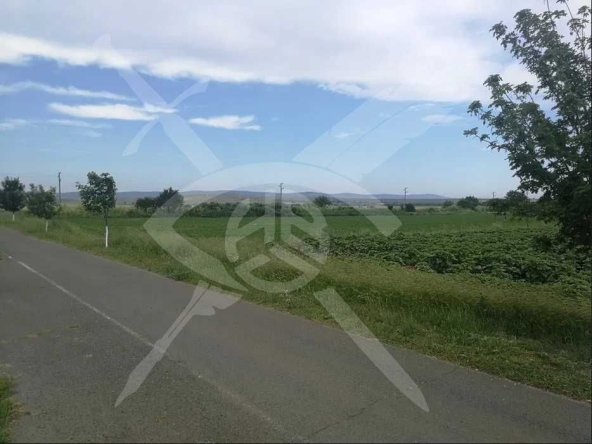 Парцел в Каблешково - 3000 кв.м за 6 €/кв.м - Снимка #1