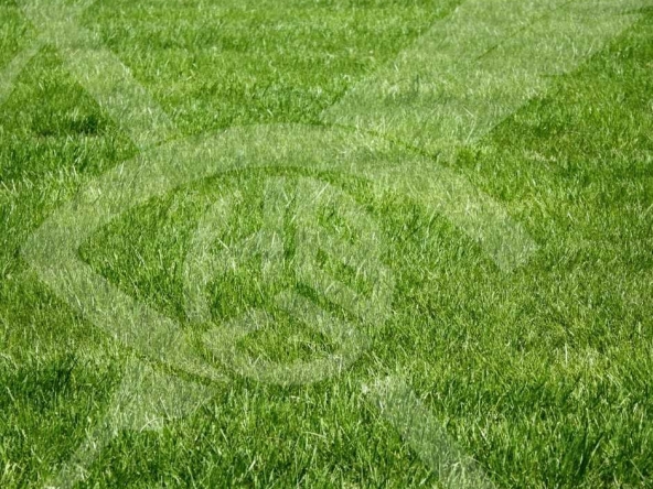 Парцел в с. Граф Игнатиево, Област Пловдив - 854 кв.м за 72 €/кв.м - Снимка #1