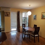 Дава се под наем Тристаен апартамент в София, Белите брези - 100 кв.м за 612 € - Снимка #1