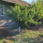 Къща в с. Кривня, Област Русе - 50 кв.м за 306 €/кв.м - Снимка #1