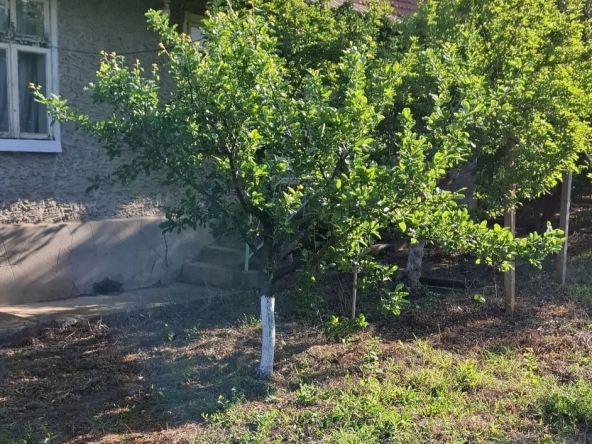 Къща в с. Кривня, Област Русе - 50 кв.м за 306 €/кв.м - Снимка #1