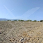 Парцел в Пловдив, Коматево - 6003 кв.м за 34 €/кв.м - Снимка #1