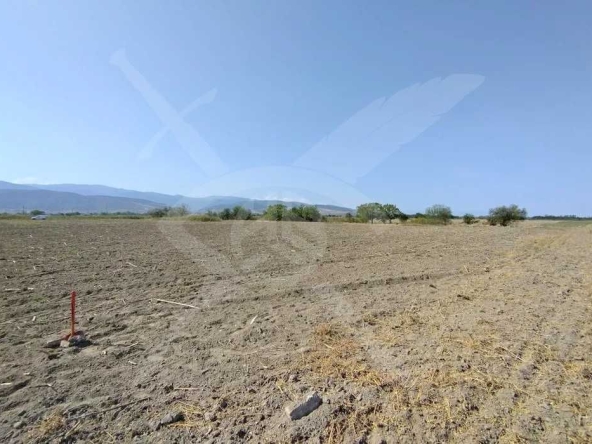 Парцел в Пловдив, Коматево - 6003 кв.м за 34 €/кв.м - Снимка #1