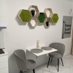 Дава се под наем Ателие в Пловдив, Кършияка - 40 кв.м за 306 € - Снимка #1