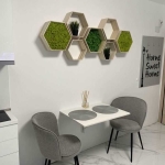 Дава се под наем Едностаен апартамент в Пловдив, Кършияка - 40 кв.м за 300 € - Снимка #1