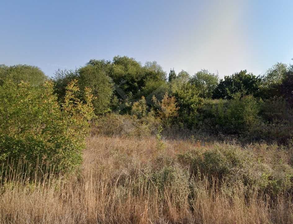 Парцел в с. Варвара, Област Бургас - 2000 кв.м за 63 €/кв.м - Снимка #1