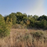 Парцел в с. Варвара, Област Бургас - 2000 кв.м за 32 €/кв.м - Снимка #1