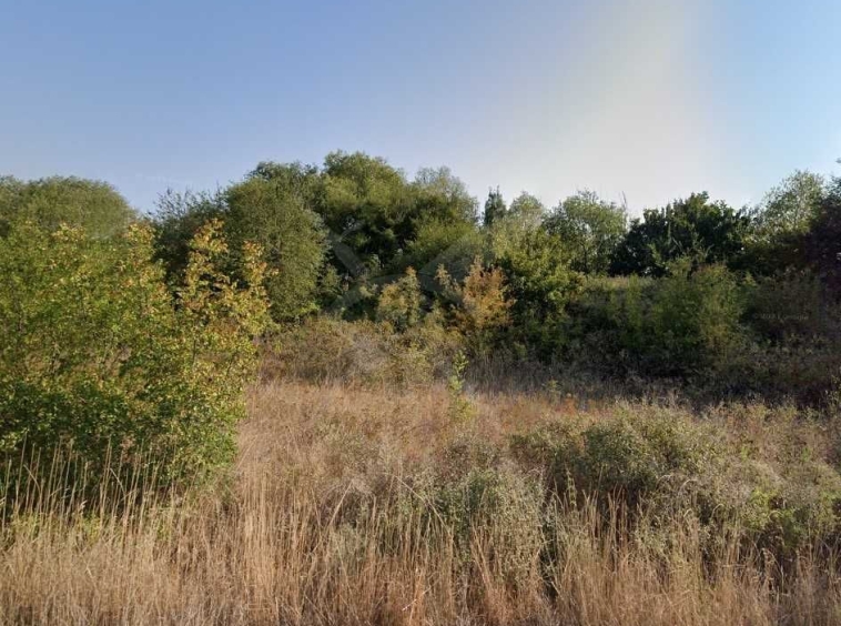 Парцел в с. Тънково, Област Бургас - 7500 кв.м за 8 €/кв.м - Снимка #1