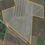 Парцел в с. Кулата, Област Благоевград - 18000 кв.м за 29 €/кв.м - Снимка #1