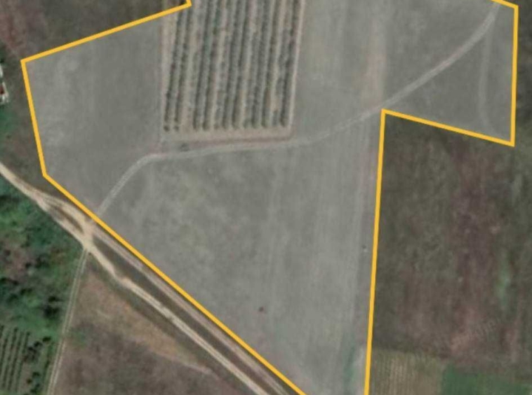 Парцел в с. Кулата, Област Благоевград - 18000 кв.м за 29 €/кв.м - Снимка #1