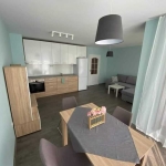 Дава се под наем Двустаен апартамент в София, Бъкстон - 65 кв.м за 459 € - Снимка #1