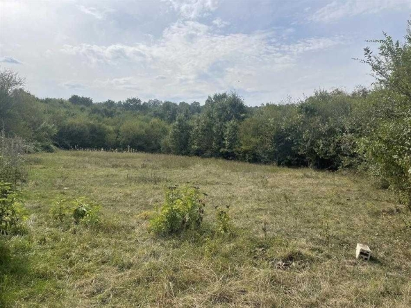 Парцел в Габрово, Център - 1497 кв.м за 6 €/кв.м - Снимка #1