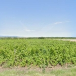 Парцел в Приморско - 3000 кв.м за 2 €/кв.м - Снимка #1