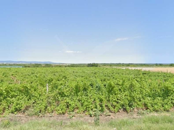 Парцел в с. Атия, Област Бургас - 4427 кв.м за 126 €/кв.м - Снимка #1