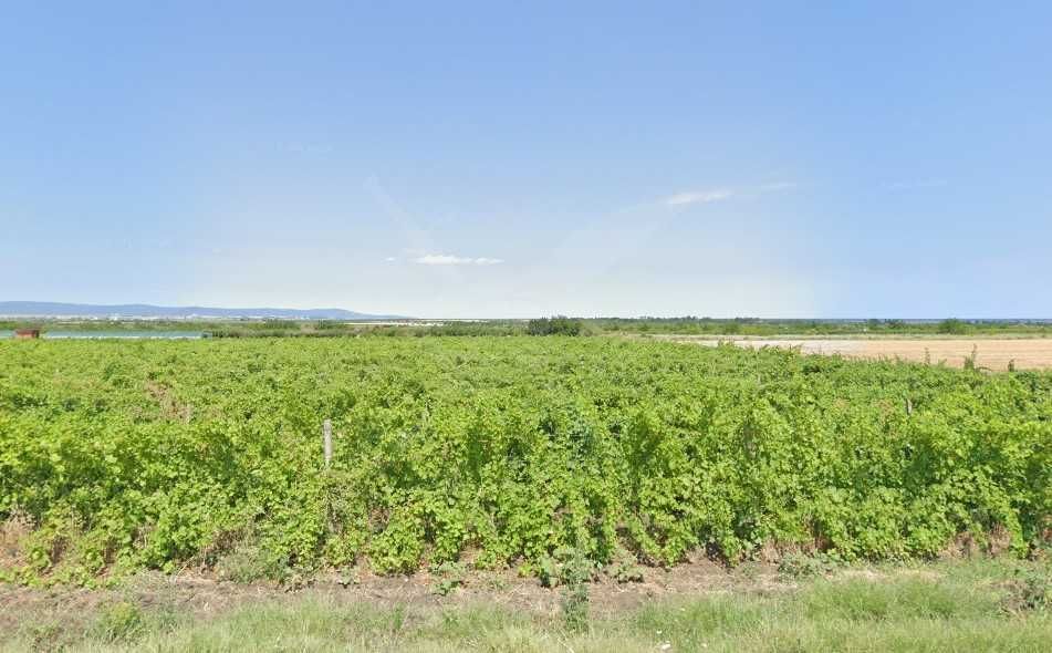 Парцел в Бургас, Сарафово - 9590 кв.м за 10 €/кв.м - Снимка #1