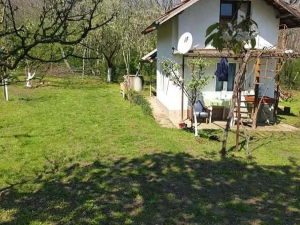 Къща в Свищов - 30 кв.м за 238 €/кв.м - Снимка #1