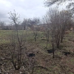 Парцел в с. Черничево, Област Пловдив - 900 кв.м за 10 €/кв.м - Снимка #1