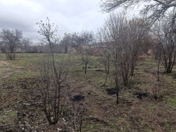 Парцел в с. Черничево, Област Пловдив - 900 кв.м за 10 €/кв.м - Снимка #1